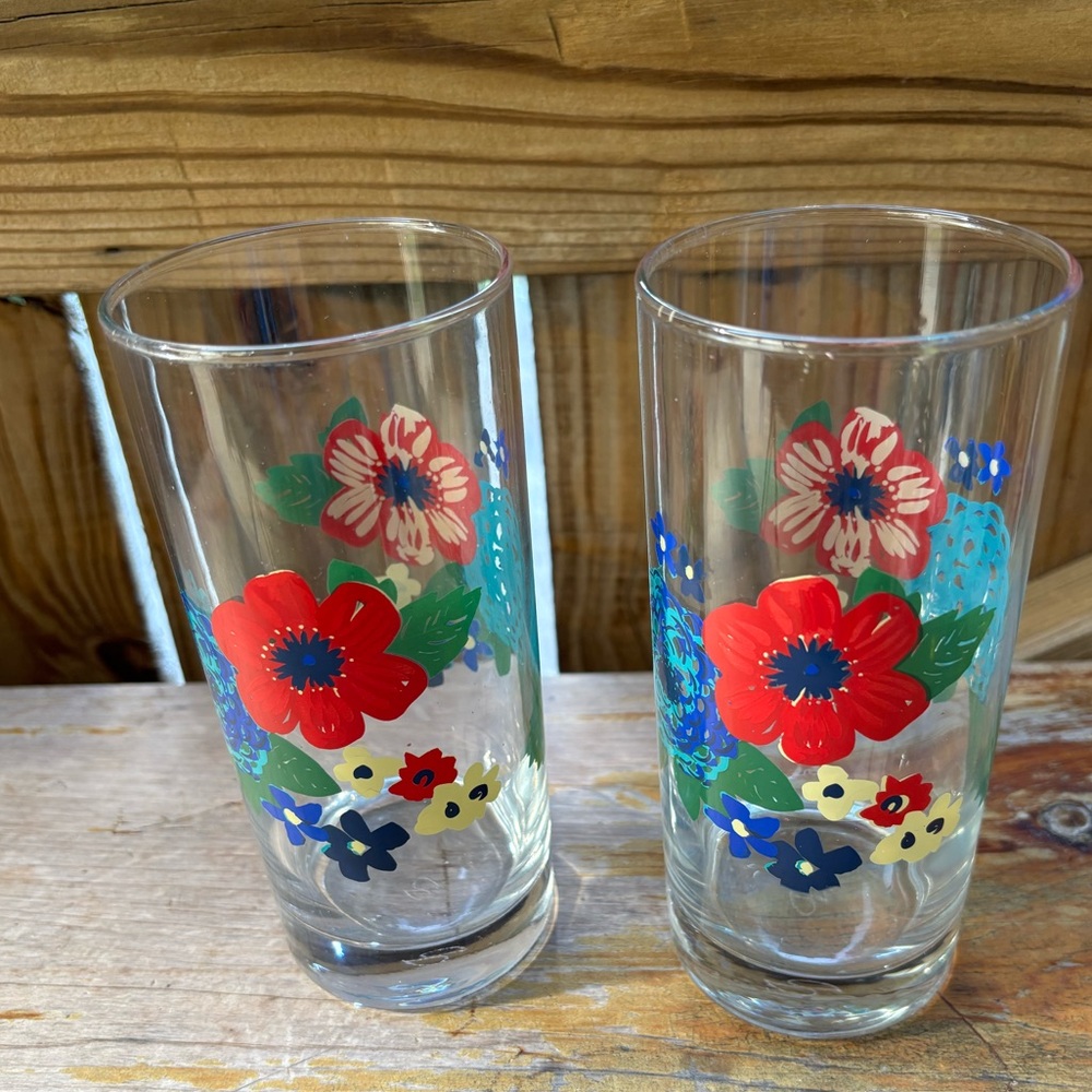 Set of 2 Pioneer Woman Dazzling Dahlias Collection Water Glasses 16oz